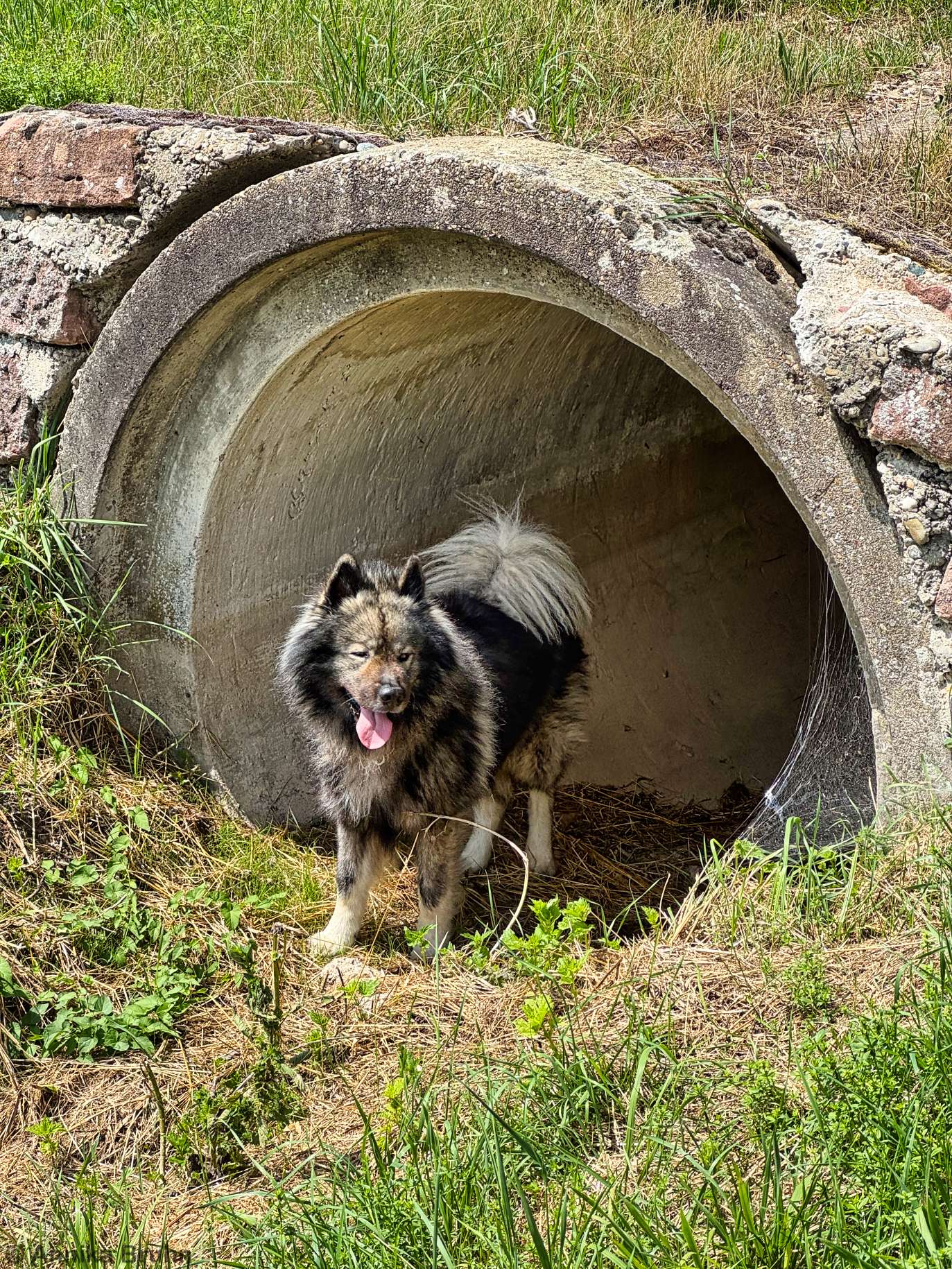 Q der kleine Kanalentdecker